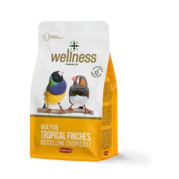 Padovan Wellness Mix Uccellini Tropicali 1 Kg