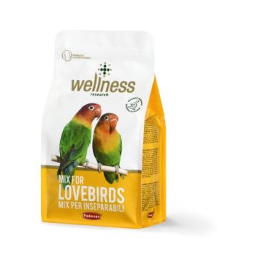 Padovan Wellness Mix Pappagalli Inseparabili 850 Gr