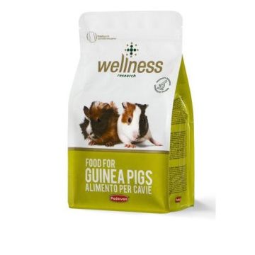 Padovan Wellness Cavie 1 Kg