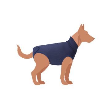 Camon Cane Tutina Post Operatoria "Exclusive" Tg. 27 Blu