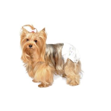 Camon Cane Pannolini Mutandina Tg. "Xs" 15/25 Cm Cf. (12 Pezzi)