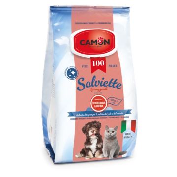 Camon Salviette Detergenti 100 Pezzi Mirra