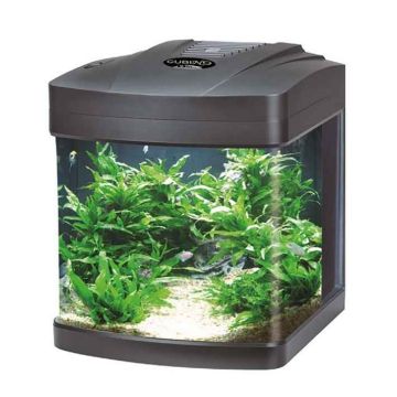 Mantovani Pesci Acquario Cubino Led Nero 27 Lt