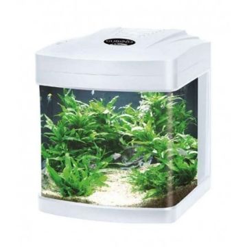 Mantovani Pesci Acquario Cubino Led Bianco 27 Lt