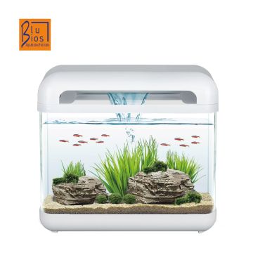 Mantovani Pesci Acquario Derby Bianco 15 Lt