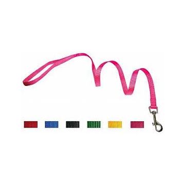 Guinzaglio Nylon 25X1200 Blu