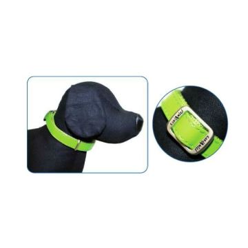 Collare Similpelle Glossy Regolabile 26-40 Cmx15Mm Verde