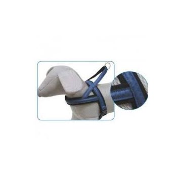 Pettorina Svedese Mylord 30/50X25 Blu