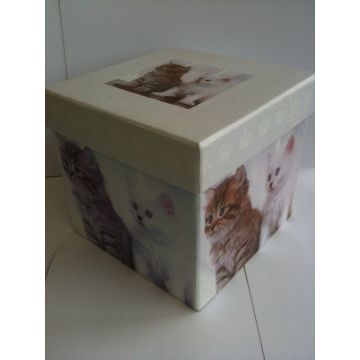 Scatola Gattini 13X13X12Cm