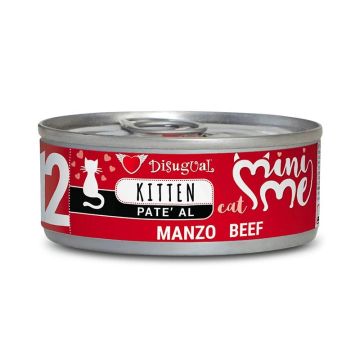 Disugual Gatto Minime (12) Kitten Manzo Lattina 85 Gr
