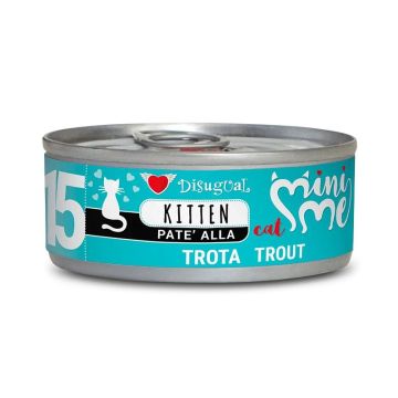 Disugual Gatto Minime (15) Kitten Trota Lattina 85 Gr