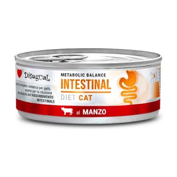 Disugual Gatto Diet Intestinal Manzo 85 Gr