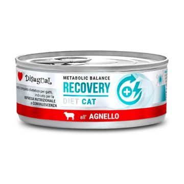 Disugual Gatto Diet Recovery Agnello 85 Gr