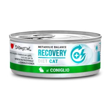 Disugual Gatto Diet Recovery Coniglio 85 Gr