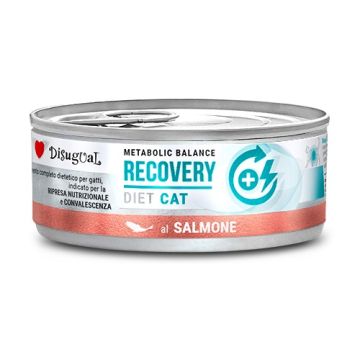 Disugual Gatto Diet Recovery Salmone 85 Gr