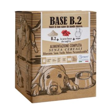 Base B Due Cartone 3 Kg