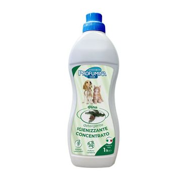 Profumina Casa Detergente Igienizzante Concentrato Pino 1 Lt