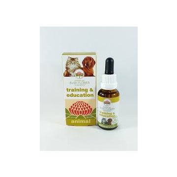 Training & education 30ml