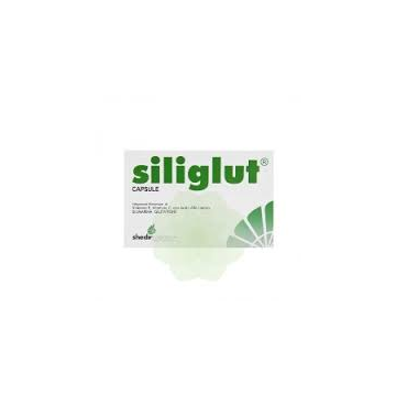 Siliglut 200 20 bustine
