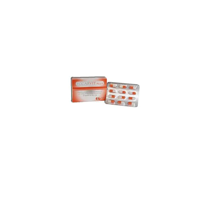 Eccarvit Plus 12 Capsule Eccarvit Plus 12 Capsule