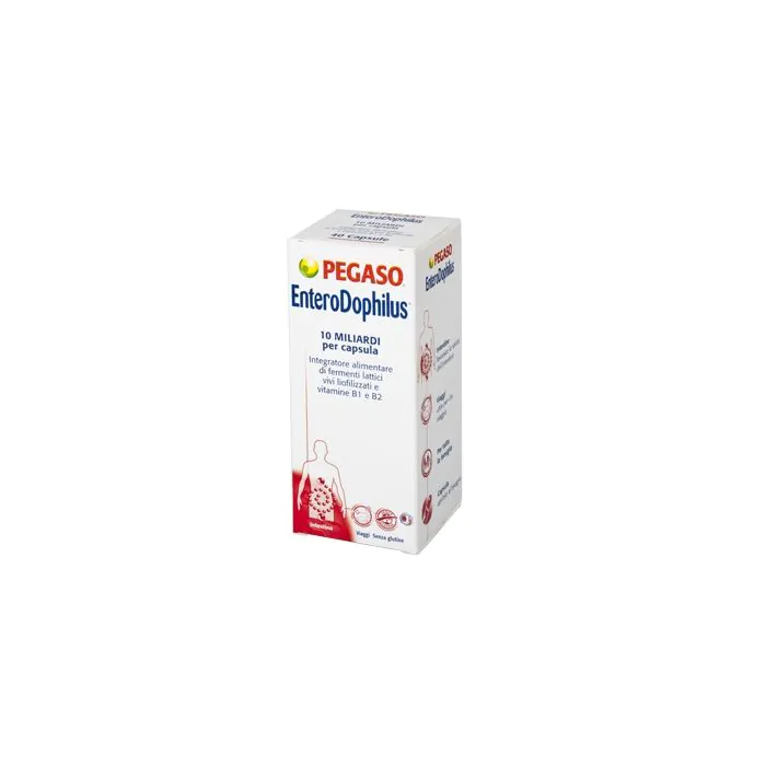 Enterodophilus 90capsule Enterodophilus 90capsule