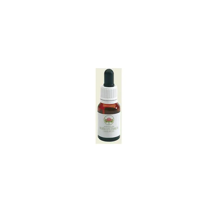 Grey Spider Flower Gocce 15ml Grey Spider Flower Gocce 15ml