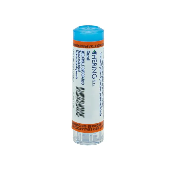 Pulsatilla 9ch 80gr 4g