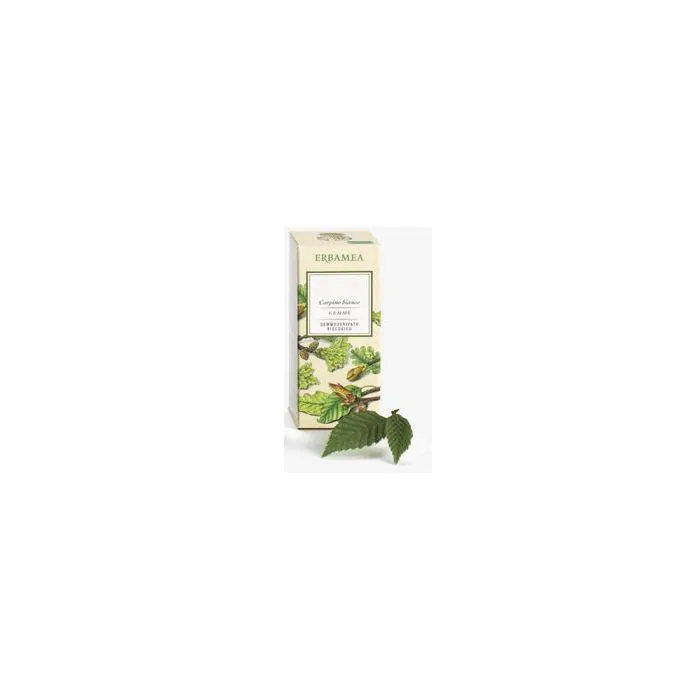 Ficus carica gemme ebm Ficus carica gemme ebm