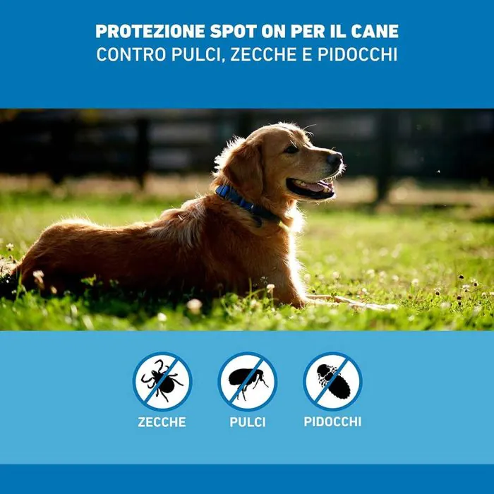 Frontline Spot-On Cani Taglia Piccola 2-10 Kg 4 Pipette Monodose
