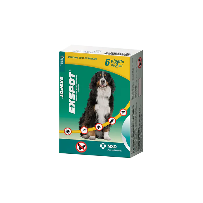 Exspot 6 pip 2ml Exspot 6 pip 2ml
