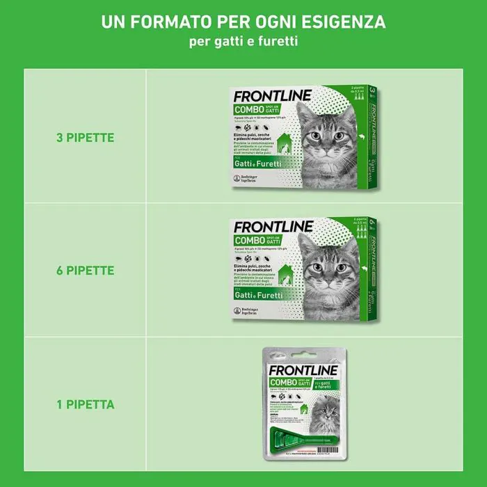 Frontline Combo Gatti x3 Pipette, Antiparassitario per Gatti, Gattini e Furetti, Contro Pulci, Zecche, Uova, Larve e Pidocchi