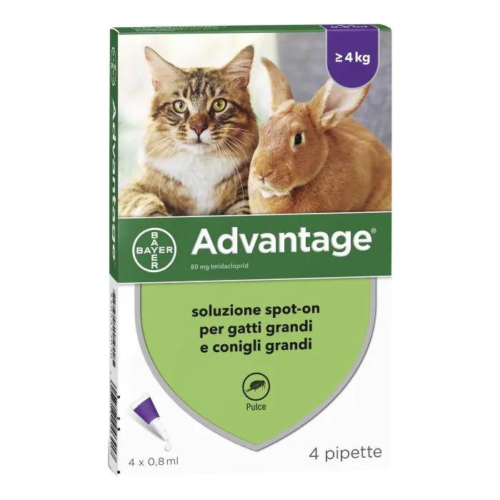 Advantage Antiparassitario Spot-On Gatti E Conigli Grandi Peso Oltre 4 Kg 4 Pipette 0,8 Ml