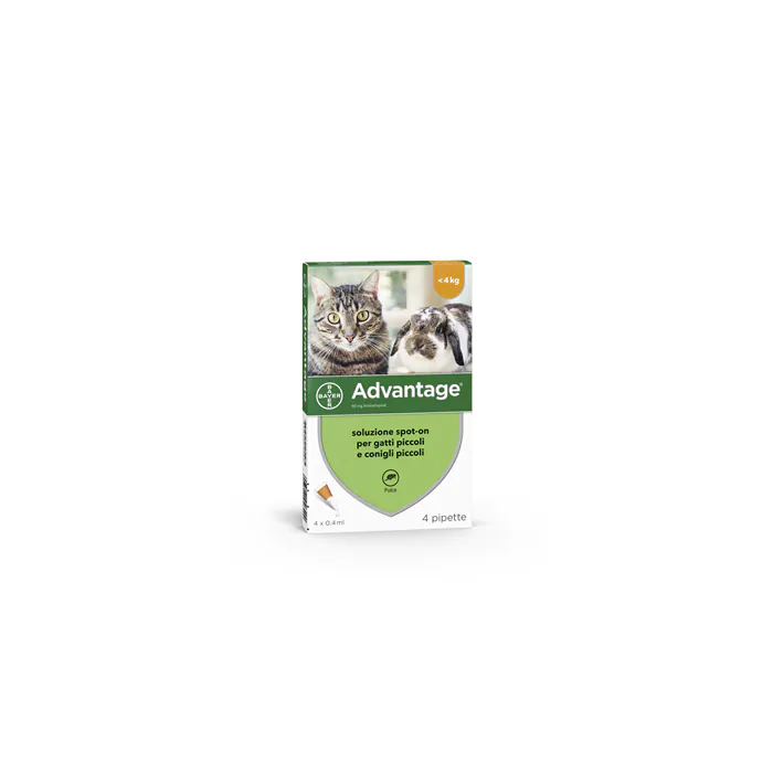 Advantage Antiparassitario Spot-On Gatti E Conigli Piccoli Peso Fino A 4 Kg 4 Pipette 0,4 Ml Advantage Antiparassitario Spot-On Gatti E Conigli Piccoli Peso Fino A 4 Kg 4 Pipette 0,4 Ml