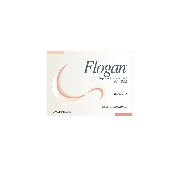Flogan 24 buste Flogan 24 buste