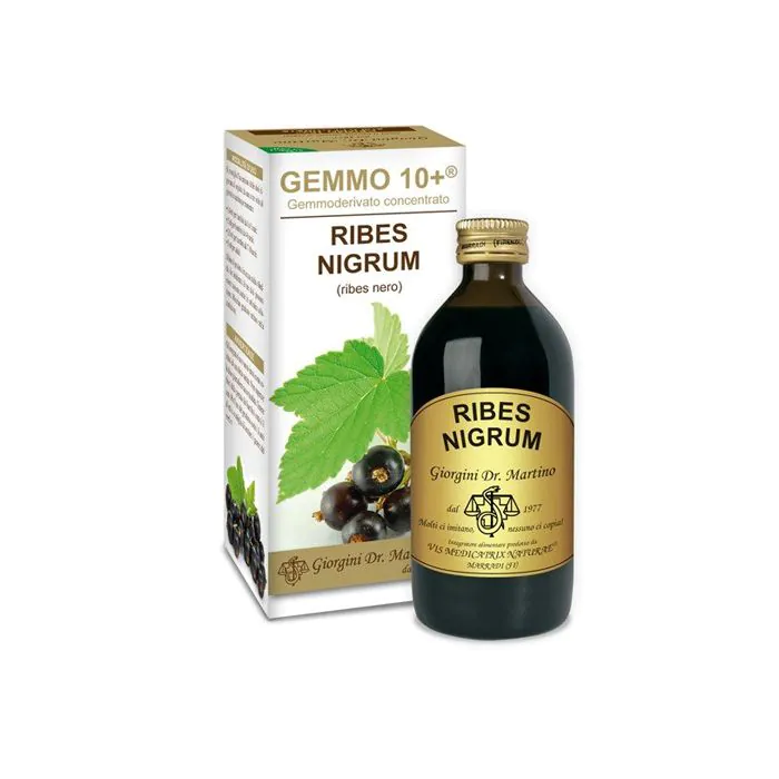 Ribes nero gemme 10+200ml gmg Ribes nero gemme 10+200ml gmg