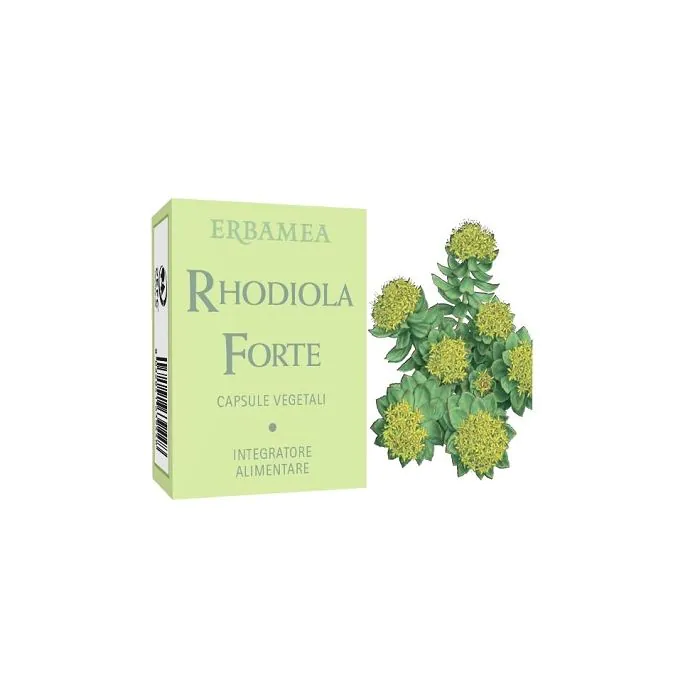 Rhodiola forte 24 capsule