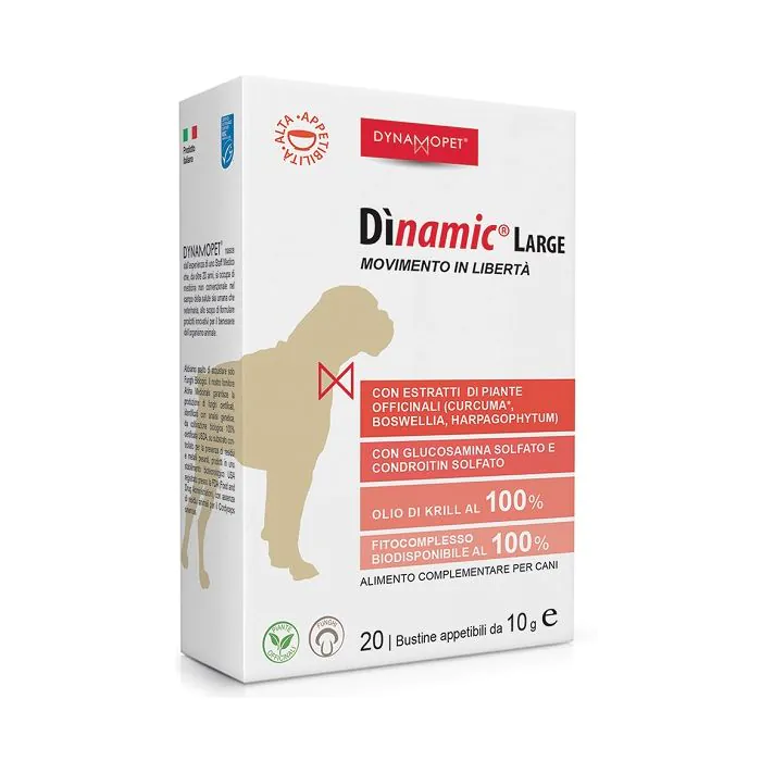 Dinamic Large 20 Bustine10G