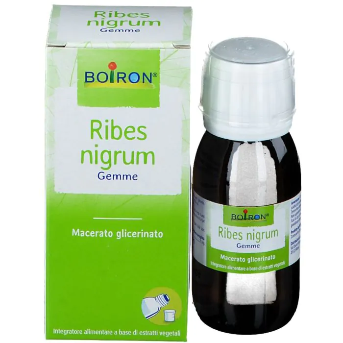 Boiron Ribes Nigrum Gemme Macerato Glicerico 60 ml Boiron Ribes Nigrum Gemme Macerato Glicerico 60 ml