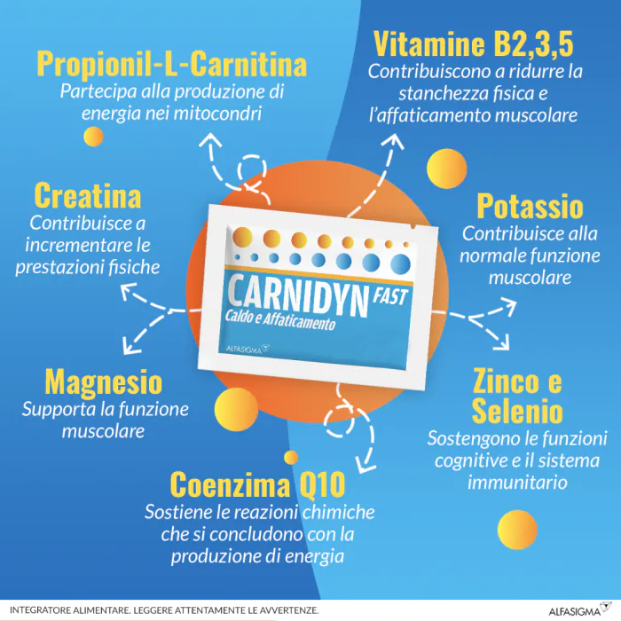 Carnidyn Fast Magnesio e Potassio 20 Bustine