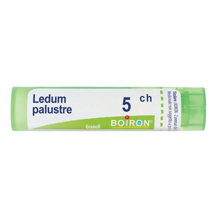 Boiron Ledum Palustre Medicinale Omeopatico 5CH 80 Granuli Boiron Ledum Palustre Medicinale Omeopatico 5CH 80 Granuli