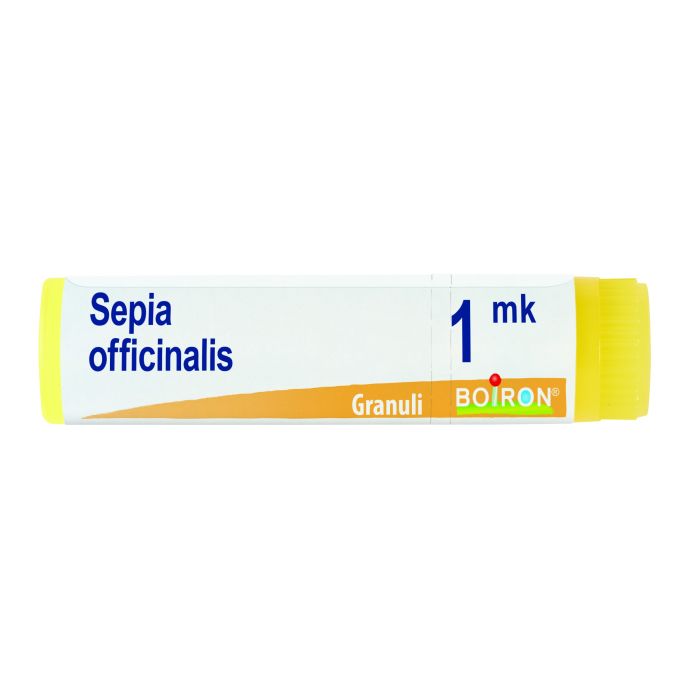 800026977_1 800026977_1