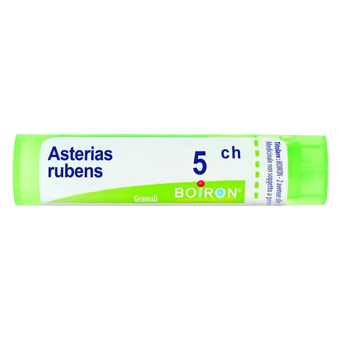 Asterias rubens 5ch gr Asterias rubens 5ch gr