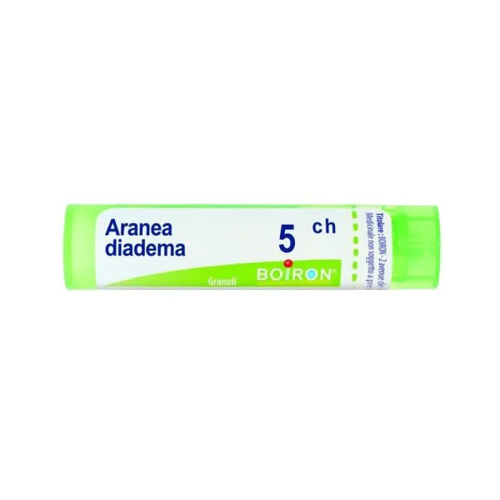 Aranea diadema 5ch granuli Aranea diadema 5ch granuli