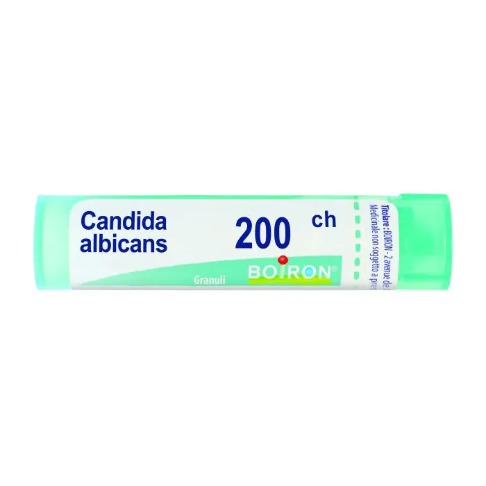 Candida albicans 200ch gr bo Candida albicans 200ch gr bo