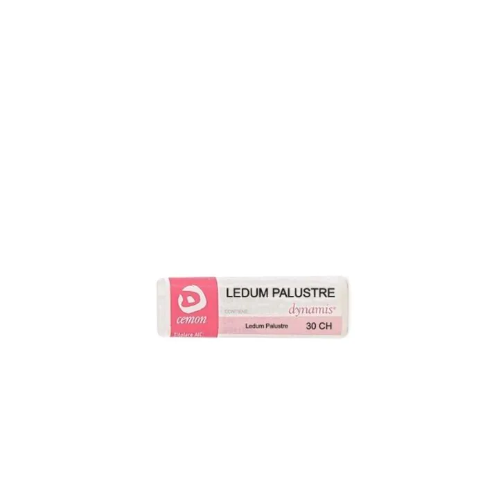 Ledum palustre 30ch gl unda Ledum palustre 30ch gl unda