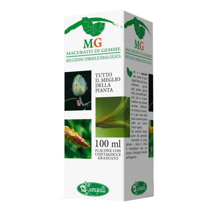 Ginepro macerato glicerico 100 ml Ginepro macerato glicerico 100 ml