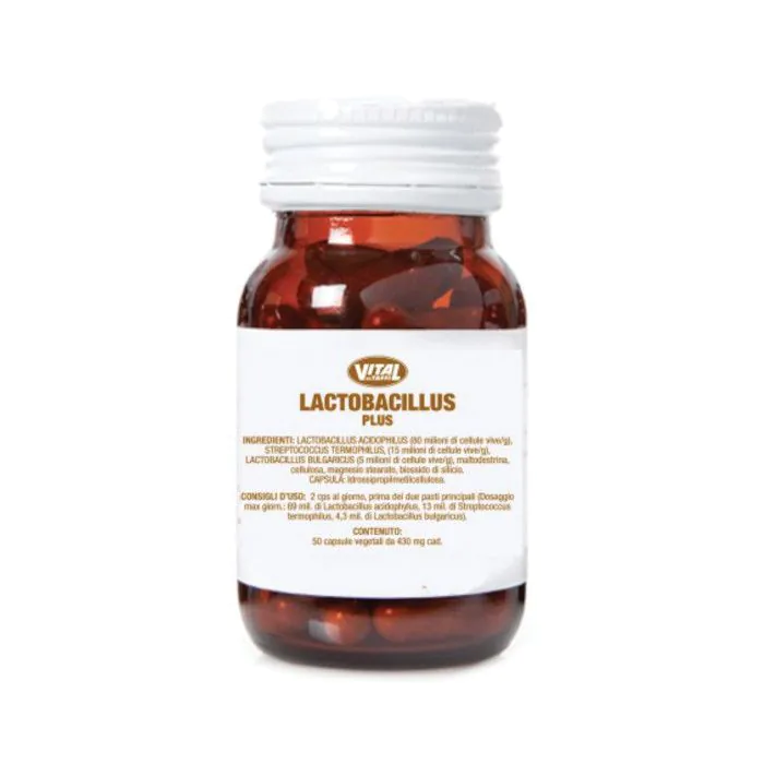 Dr taffi lactobacillus plus 50 capsule Dr taffi lactobacillus plus 50 capsule