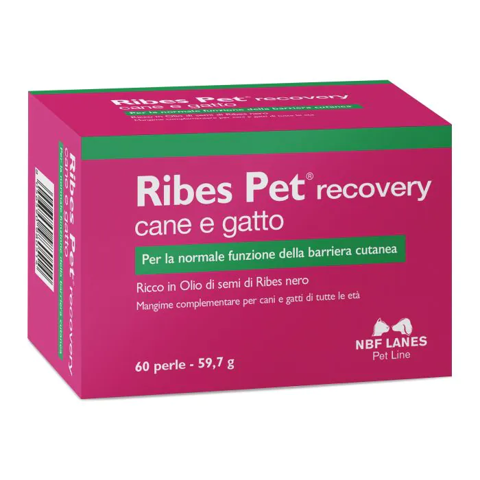 Ribes Pet Recovery Cane E Gatto 60 Perle