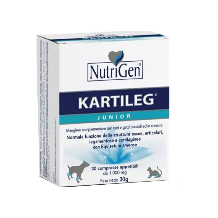 Kartileg Junior 600 Tavolette Kartileg Junior 600 Tavolette