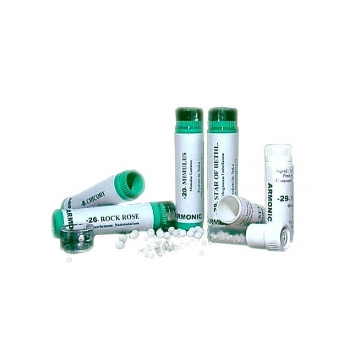 906014598.jpg 906014598.jpg